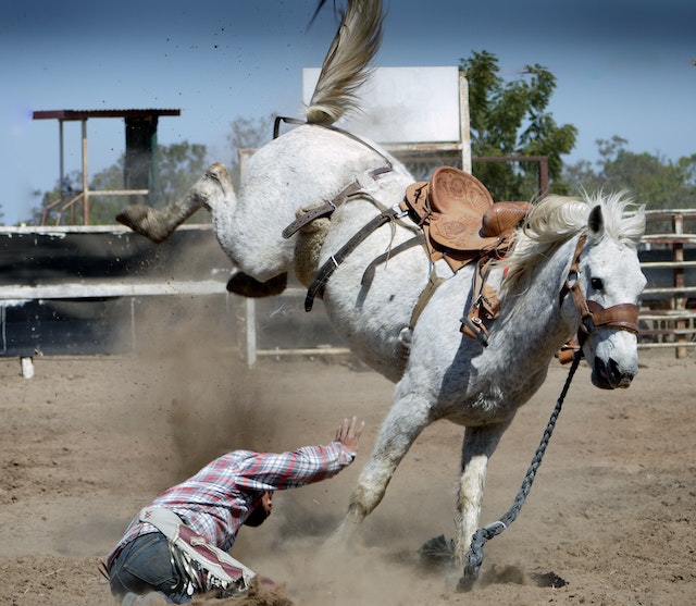 A cowboy bucks off his horse in the saddle bronc riding event at a rodeo