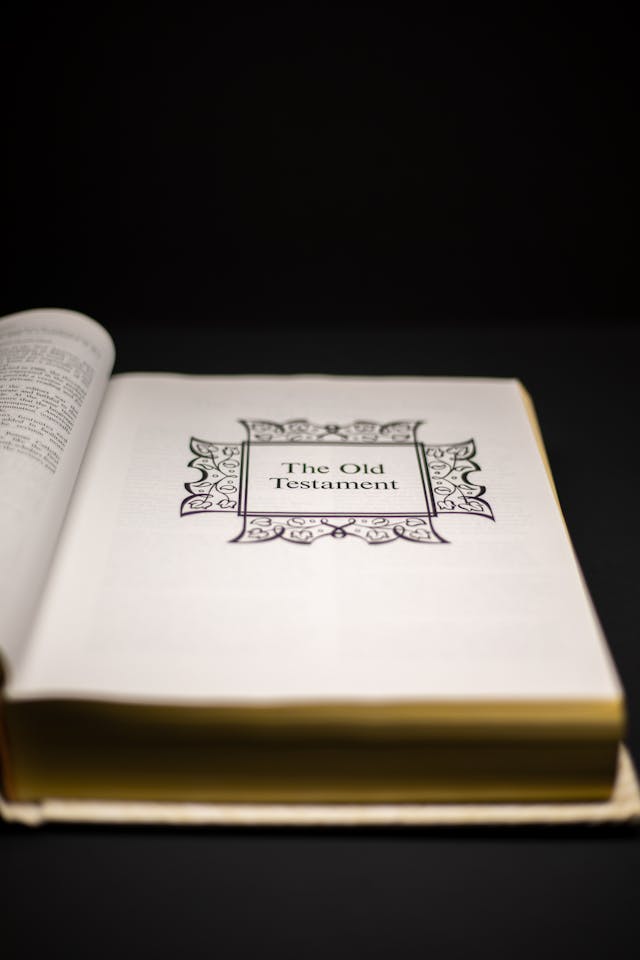 Actions from the Old Testament can show us what James teaches about faith and works