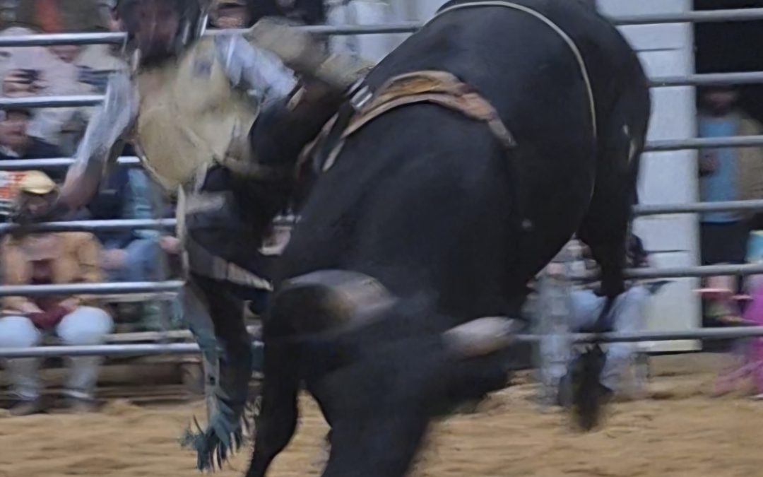 A bull rider bucks off his bull at a rodeo. Christian cowboys face lots of distractions, God wants our goals coming from Him