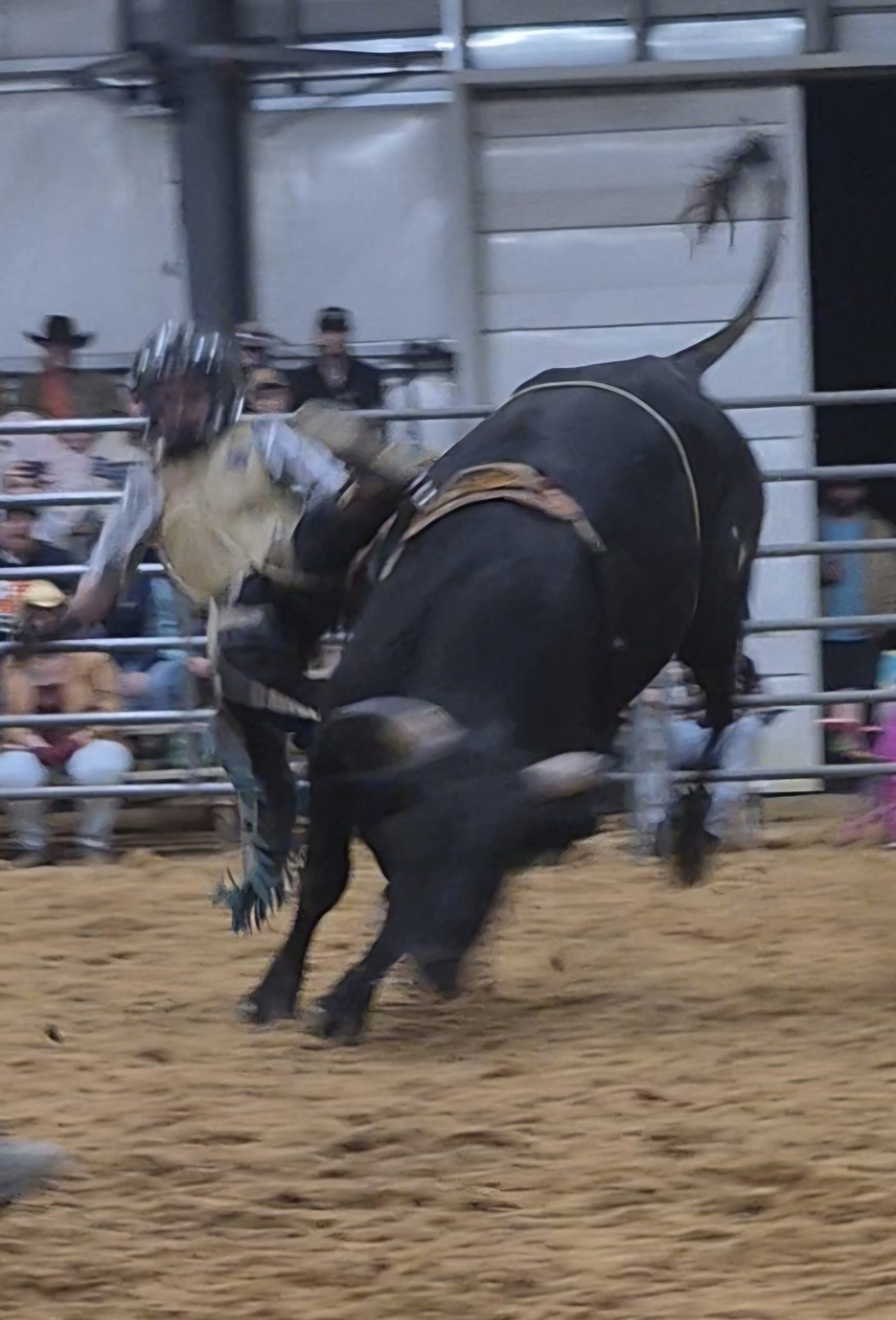 A bull rider bucks off his bull at a rodeo. Christian cowboys face lots of distractions, God wants our goals coming from Him