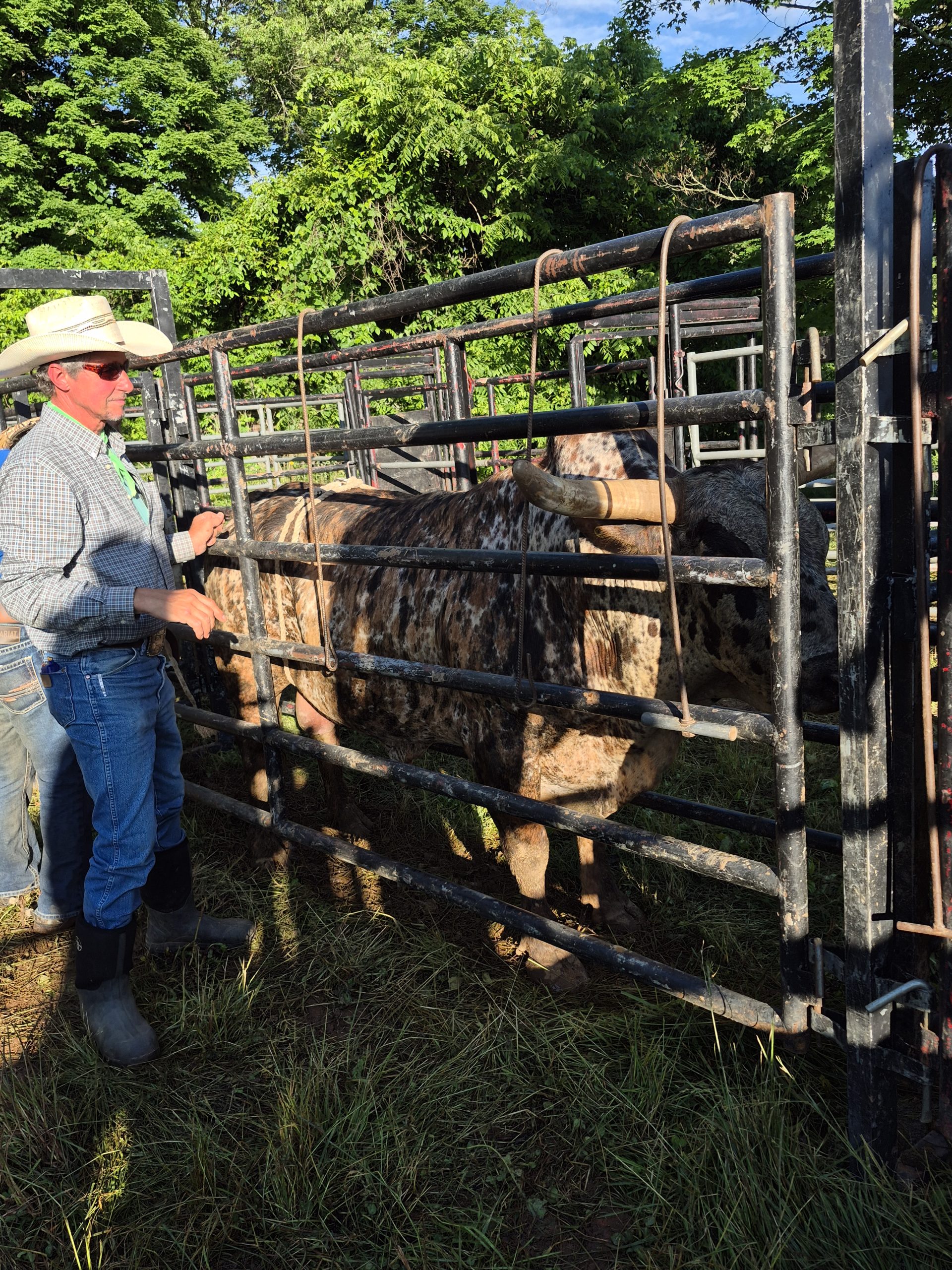 A Christian cowboy should forgive a crooked rodeo stock contractor whether he cares or not